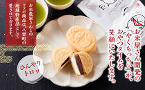 アイス最中！やくもっちぃもなか(粒あん＆生クリーム) 9個入  【 もなか モナカ 最中 和菓子 菓子 おかし 食品   グルメ お取り寄せ    】