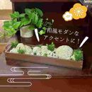 菰野岩の杜（コモノイワノモリ） | インテリア 家具