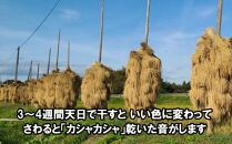 米　天日干しひとめぼれ　令和5年産　白米　600g　お米マイスターが栽培指導　岩手県奥州市産　600グラム　【7日以内発送】 おこめ ごはん ブランド米 精米 白米