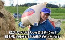 米　天日干しひとめぼれ　令和5年産　白米　600g　お米マイスターが栽培指導　岩手県奥州市産　600グラム　【7日以内発送】 おこめ ごはん ブランド米 精米 白米