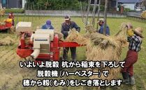 【12月6日より価格改定】米　天日干しひとめぼれ　令和6年産　玄米　7kg　お米マイスターが栽培指導　岩手県奥州市産　7kg　【7日以内発送】