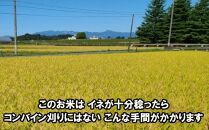 米　天日干しひとめぼれ　令和5年産　玄米　9kg　お米マイスターが栽培指導　岩手県奥州市産　9kg　【7日以内発送】