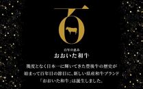 ＜定期便 全3回＞おおいた和牛 食べ比べ【総計5kg！】寄附額15万円コース（３）（ロース・サーロイン・カルビ等）