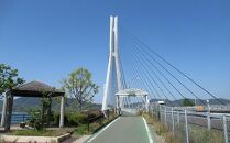 瀬戸内しまなみ海道 多々羅大橋塔頂体験【令和7年10月25日(土）10:20～】