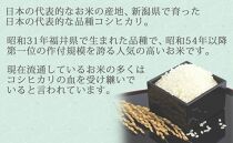 【定期便全12回】無洗米新潟県産コシヒカリ10kg