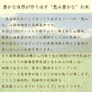 【定期便全12回】無洗米新潟県魚沼産コシヒカリ10kg