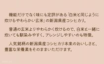 【定期便全6回】【栄養機能食品】白米と同じように炊けるやわらかい玄米 新潟県産コシヒカリ 900g×4袋