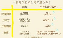 【定期便全6回】【栄養機能食品】白米と同じように炊けるやわらかい玄米 新潟県産コシヒカリ 900g×4袋