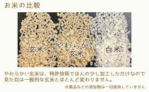 【定期便全6回】【栄養機能食品】白米と同じように炊けるやわらかい玄米 新潟県産コシヒカリ 900g×4袋