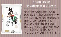 【定期便全6回】新潟県産米厳選食べ比べ 5kg