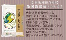 【定期便全12回】新潟県産米厳選食べ比べ 5kg