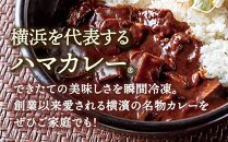 サンアロハ「ハマカレー®　ビーフ　6個パック」