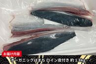 期間限定 オーガニック はまち ロイン 皮付き 約 1.8kg くら寿司 オリジナルブランド