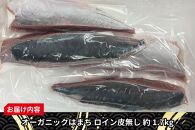 期間限定 オーガニック はまち ロイン 皮無し 約 1.7kg くら寿司 オリジナルブランド