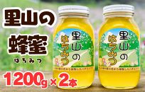 ありだ里山の蜂蜜（1200ｇ×2本セット）