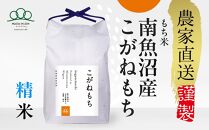 新米予約【令和6年産】もち米精米 南魚沼産こがねもち 5kg _AG