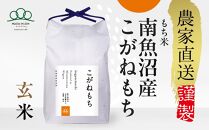 新米予約【令和6年産】もち米玄米　南魚沼産こがねもち 5kg _AG