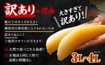 【訳あり】塩水 数の子 北海道小樽産 1.5kg かずのこ 4Lサイズ 魚卵 お節 おせち