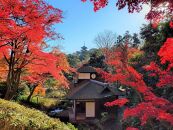 国指定名勝三溪園　招待券（２枚）