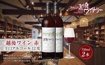 越後ワイン 赤 750ml 2本セット アグリコア  越後ワイナリー  新潟県産 ぶどう100%使用  辛口 ミディアムボディ アルコール12% 国産ワイン 魚沼ワイン 送料無料 新潟県 南魚沼市