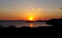 ジェイさんのオリーブオイル《ミッション種＆ルッカ種》コンパニョーニファームズ&nbsp;エキストラバージンオイル&nbsp;&nbsp;食べ比べセット&nbsp;2025年収穫&nbsp;100％小豆島産&nbsp;手摘み