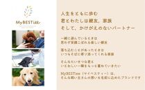 【MyBESTiee】愛犬用 タルト2個セット ほうれん草のツリー＆かぼちゃと鰯のタルト【ペット 犬 ペットフード  愛犬 愛犬家 愛犬用 タルト おやつ 犬用 福岡県 筑前町 ふるさと納税 送料無料 DY002】