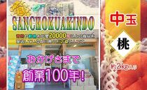 ＜滴る果汁とあふれる果肉が自慢のもも＞中玉の桃2kgセット【先行予約・2025年6月下旬より順次発送】秀品（約7～10個入り）