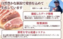 越後もちぶた（新潟県産和豚もちぶた） 焼肉セット800g