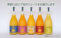 瀬戸内の柑橘100%ストレートジュース 旬の大瓶（720ml）4本セット