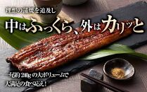 うなぎ蒲焼き2尾入り 480g（蒲焼たれ4袋 山椒付き）【年末発送：12月25日～29日発送】【KS6】