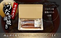 うなぎ蒲焼き2尾入り 480g（蒲焼たれ4袋 山椒付き）【年末発送：12月25日～29日発送】【KS6】