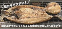 博多志賀島　7種類の干物バラエティセット