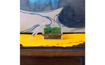 【銀座花粂】青蓮院の苔&nbsp;春&nbsp;(3月20日頃到着&nbsp;寄付日：2月3日から3月1日の方)