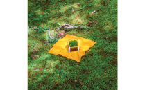 【銀座花粂】青蓮院の苔&nbsp;春&nbsp;(3月20日頃到着&nbsp;寄付日：2月3日から3月1日の方)