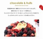 【福岡市】ベリーの濃厚チョコケーキ　5号　15cm径　ストロベリーフィールズ