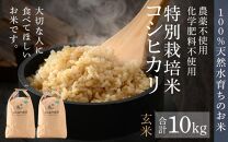 【先行予約】【9月下旬より発送開始】【令和6年産 新米】コシヒカリ 玄米 10kg 特別栽培米 5kg×2袋 化学肥料不使用  ＜温度と湿度を常時管理し新鮮米を出荷！＞