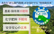 【先行予約】【9月下旬より発送開始】【令和6年産 新米】コシヒカリ 玄米 10kg 特別栽培米 5kg×2袋 化学肥料不使用  ＜温度と湿度を常時管理し新鮮米を出荷！＞