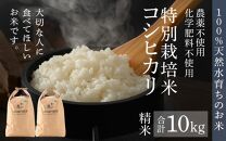 【先行予約】【9月下旬より発送開始】【令和6年産 新米】コシヒカリ 精米 10kg 特別栽培米 5kg×2袋 化学肥料不使用  ＜温度と湿度を常時管理し新鮮米を出荷！＞