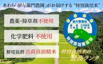 【先行予約】【9月下旬より発送開始】【令和6年産 新米】コシヒカリ 精米 10kg 特別栽培米 5kg×2袋 化学肥料不使用  ＜温度と湿度を常時管理し新鮮米を出荷！＞