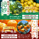 【早採りみかん（極早生）】［2026年10月上旬頃より順次発送予定］or【完熟みかん（早生～晩生）】みかん&nbsp;訳あり&nbsp;山から直送&nbsp;箱込&nbsp;1kg&nbsp;～&nbsp;10kg&nbsp;(&nbsp;内容量約&nbsp;0.9kg&nbsp;~&nbsp;9.2kg&nbsp;)&nbsp;鮮度優先ごろごろ規格&nbsp;和歌山県産&nbsp;産地直送&nbsp;家庭用&nbsp;わけあり【みかんの会】