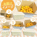 【早採りみかん（極早生）】［2026年10月上旬頃より順次発送予定］or【完熟みかん（早生～晩生）】みかん&nbsp;訳あり&nbsp;山から直送&nbsp;箱込&nbsp;1kg&nbsp;～&nbsp;10kg&nbsp;(&nbsp;内容量約&nbsp;0.9kg&nbsp;~&nbsp;9.2kg&nbsp;)&nbsp;鮮度優先ごろごろ規格&nbsp;和歌山県産&nbsp;産地直送&nbsp;家庭用&nbsp;わけあり【みかんの会】