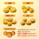 【早採りみかん（極早生）】［2026年10月上旬頃より順次発送予定］or【完熟みかん（早生～晩生）】みかん&nbsp;訳あり&nbsp;山から直送&nbsp;箱込&nbsp;1kg&nbsp;～&nbsp;10kg&nbsp;(&nbsp;内容量約&nbsp;0.9kg&nbsp;~&nbsp;9.2kg&nbsp;)&nbsp;鮮度優先ごろごろ規格&nbsp;和歌山県産&nbsp;産地直送&nbsp;家庭用&nbsp;わけあり【みかんの会】