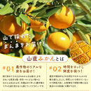 【早採りみかん（極早生）】［2026年10月上旬頃より順次発送予定］or【完熟みかん（早生～晩生）】みかん&nbsp;訳あり&nbsp;山から直送&nbsp;箱込&nbsp;1kg&nbsp;～&nbsp;10kg&nbsp;(&nbsp;内容量約&nbsp;0.9kg&nbsp;~&nbsp;9.2kg&nbsp;)&nbsp;鮮度優先ごろごろ規格&nbsp;和歌山県産&nbsp;産地直送&nbsp;家庭用&nbsp;わけあり【みかんの会】