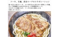 本ソーキそば（2食）生麺タイプ 特製スープ付き｜沖縄そば【宮良そば】沖縄県　浦添市　麺類 　沖縄そば 生麺  人気 ソーキそば 宮良そば