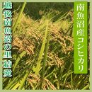 【令和7年産】【定期便&nbsp;精米８Kg×全3回】越後南魚沼の里&nbsp;結愛&nbsp;南魚沼産コシヒカリ
