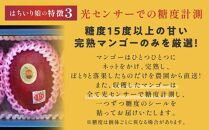 【数量限定/先行予約】マンゴー「はちいり（鉢入り）娘」化粧箱入り