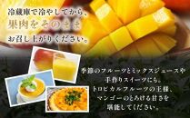 【数量限定/先行予約】マンゴー「はちいり（鉢入り）娘」化粧箱入り