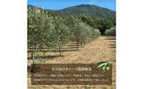 小豆島産100％エキストラバージン&nbsp;(EXV)&nbsp;オリーブオイル&nbsp;(単品)&nbsp;150ml×3本