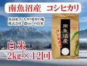 【令和7年産】【定期便&nbsp;南魚沼産】コシヒカリ&nbsp;白米2kg×12回