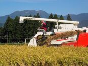 【令和7年産】【定期便&nbsp;南魚沼産】コシヒカリ&nbsp;白米3kg×12回